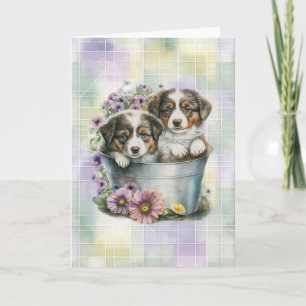 Australian Shepherd Puppies Blank Folded Note Kaar Notitiekaartje