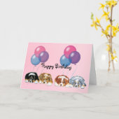 Australian Shepherd Puppies gelukkige verjaardag Kaart (Gele Bloem)