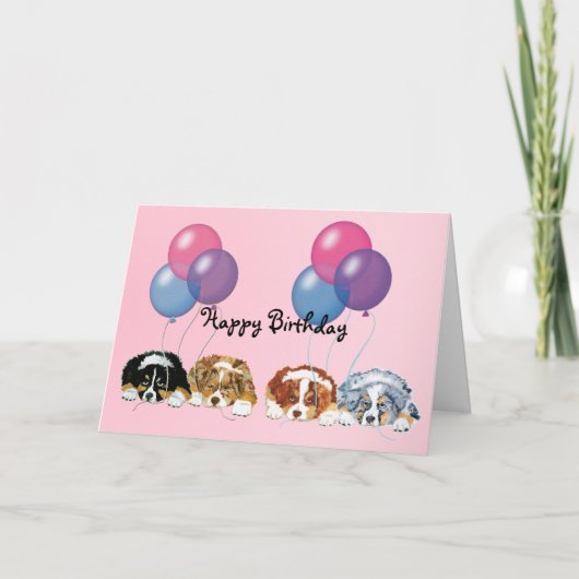 Australian Shepherd Puppies gelukkige verjaardag Kaart (Voorkant)