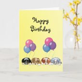 Australian Shepherd Puppies gelukkige verjaardag Kaart (Gele Bloem)