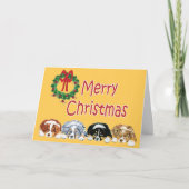 Australian Shepherd Puppies Kerst Kaart (Voorkant)