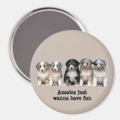 Australian Shepherd Puppies Magnet (Voorkant / Achterkant)