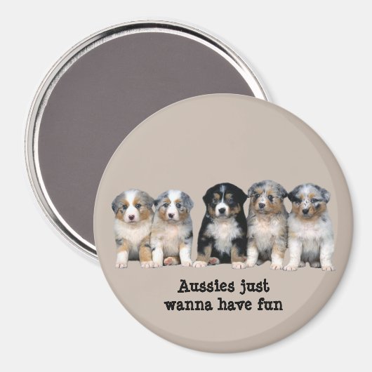 Australian Shepherd Puppies Magnet (Voorkant / Achterkant)
