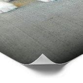 Australian Shepherd Puppies Poster (Hoek)