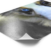 Australian Shepherd Puppy 1 Foto Afdruk (Hoek)