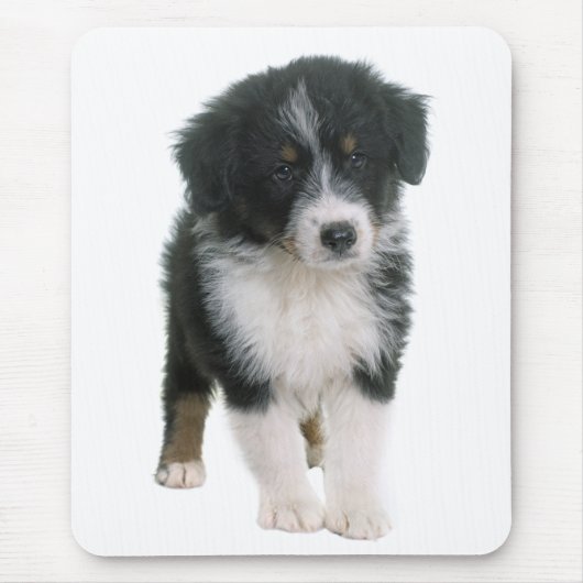 Australian Shepherd Puppy Dog - Aussie Love Muismat (Voorkant)