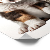 Australian Shepherd Puppy Dog Graphic Nursery Art Poster (Hoek)