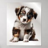 Australian Shepherd Puppy Dog Graphic Nursery Art Poster (Voorkant)
