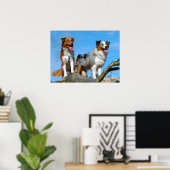 Australian Shepherd Puppy Dogs Poster (Thuiskantoor)