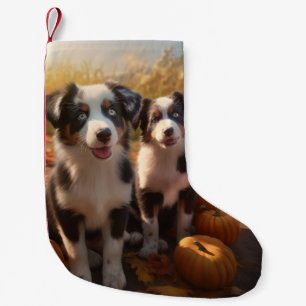 Australian Shepherd Puppy Herfst Plezier Pompoen Kleine Kerstsok