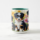 Australian Shepherd Puppy Mok (Midden)