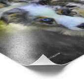 Australian Shepherd Puppy Triad Foto Afdruk (Hoek)