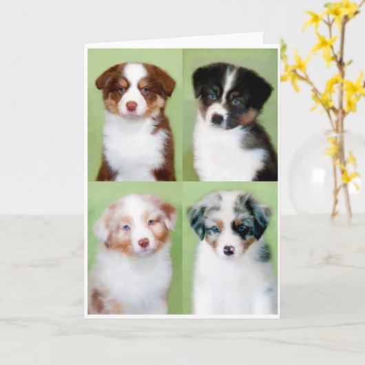 Australian Shepherd Puppy Wenskaarten Kaart (Gele Bloem)