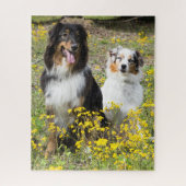 Australian Shepherd Puzzle Legpuzzel (Verticaal)