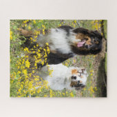Australian Shepherd Puzzle Legpuzzel (Horizontaal)