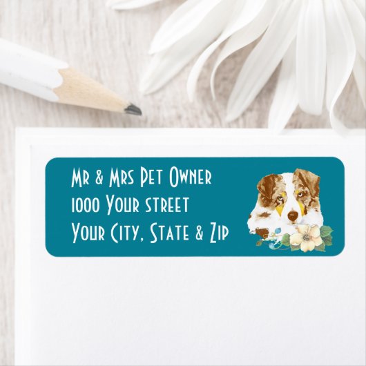 Australian Shepherd Red Merle Retouradreslabel Etiket (Insitu)