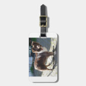 australian shepherd red tri liefde met foto bagagelabel (Voorkant verticaal)