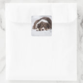 Australian Shepherd Red Tri ligt in de sneeuw Vierkante Sticker (Tas)