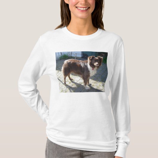 Australian Shepherd Red Tri vol T-shirt (Voorkant)