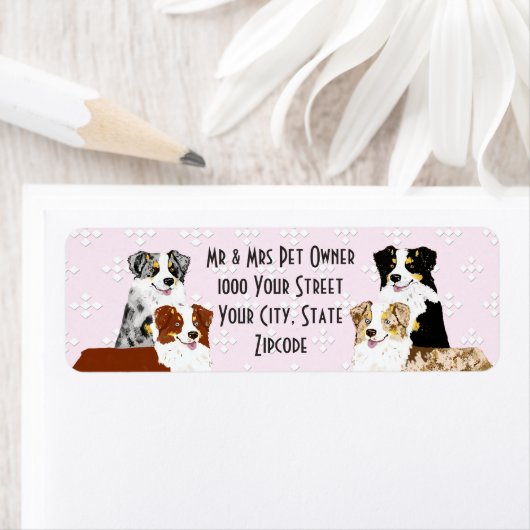 Australian Shepherd Retouradres Label (Insitu)