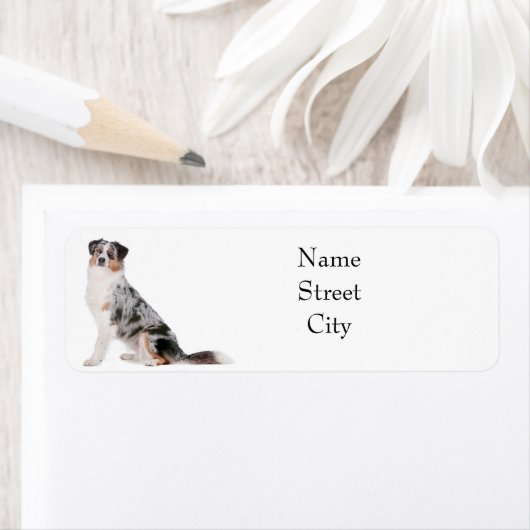 Australian Shepherd Retouradres Label (Insitu)