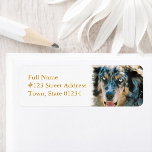 Australian Shepherd Retouradres Label (Insitu)