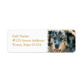 Australian Shepherd Retouradres Label (Voorkant)