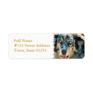 Australian Shepherd Retouradres Label