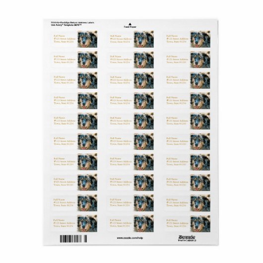 Australian Shepherd Retouradres Label (Full Sheet)