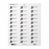 Australian Shepherd Retouradreslabels Etiket (Full Sheet)
