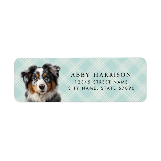 Australian Shepherd Retouradreslabels Etiket (Voorkant)