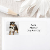 *AUSTRALIAN SHEPHERD* RETURN ADDRESS LABEL (Insitu)