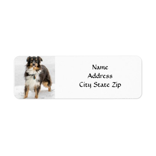 *AUSTRALIAN SHEPHERD* RETURN ADDRESS LABEL (Voorkant)