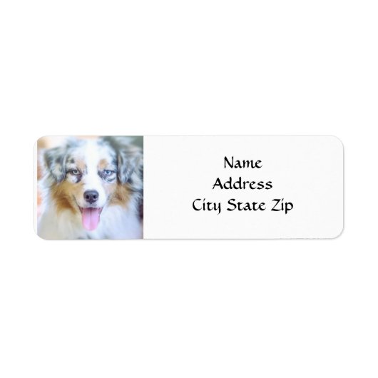 * AUSTRALIAN SHEPHERD* RETURN ADDRESS LABEL (Voorkant)