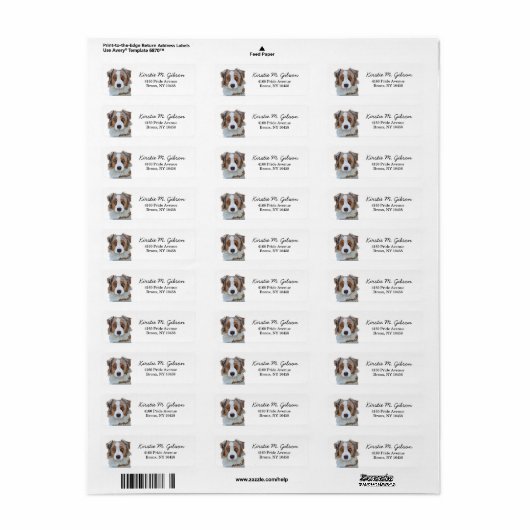 Australian Shepherd Return Address Label (Full Sheet)