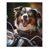 Australian Shepherd riding a motorcycle - Poster (Voorkant)