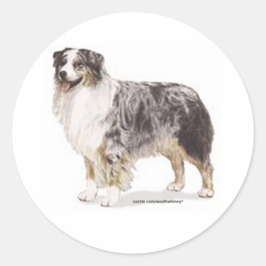 Australian Shepherd Ronde Sticker (Voorkant)
