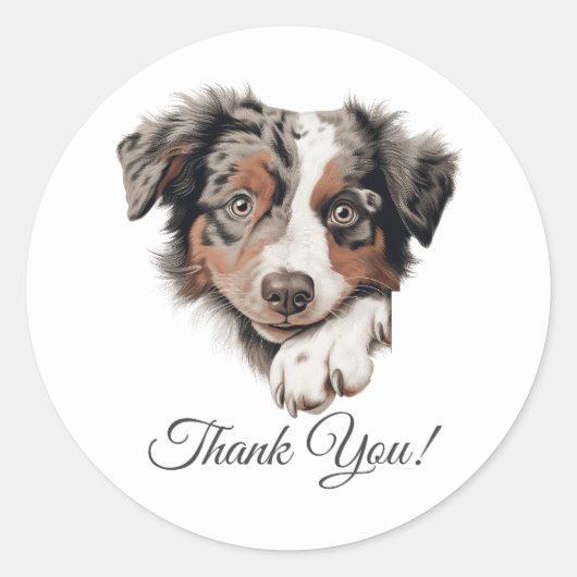 Australian Shepherd Schattigee hond bedankt Ronde Sticker (Voorkant)