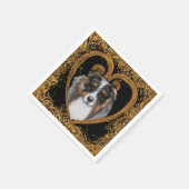 Australian Shepherd   Servet (Hoek)