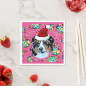 AUSTRALIAN SHEPHERD SERVETTEN (Insitu)