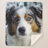 Australian Shepherd Sherpa Deken (Voorkant)