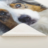 Australian Shepherd Sherpa Deken (3/4)