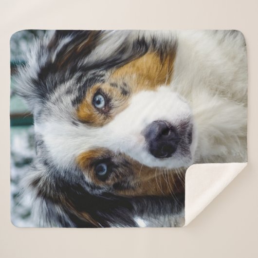 Australian Shepherd Sherpa Deken (Voorkant (horizontaal))