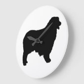 Australian Shepherd silo Grote Klok (Hoek)