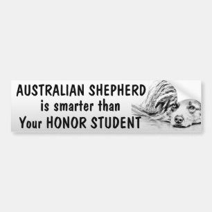 Australian Shepherd - Slimmer dan student - grappi Bumpersticker