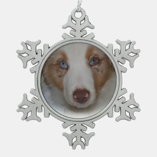 Australian Shepherd Snowflake Ornament (Voorkant)