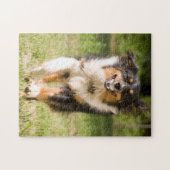 Australian Shepherd speelt met bal Legpuzzel (Horizontaal)
