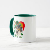 Australian Shepherd St Patricks Mok (Voorkant links)