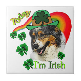 Australian Shepherd St Patricks Tegeltje