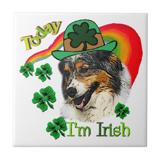 Australian Shepherd St Patricks Tegeltje (Voorkant)